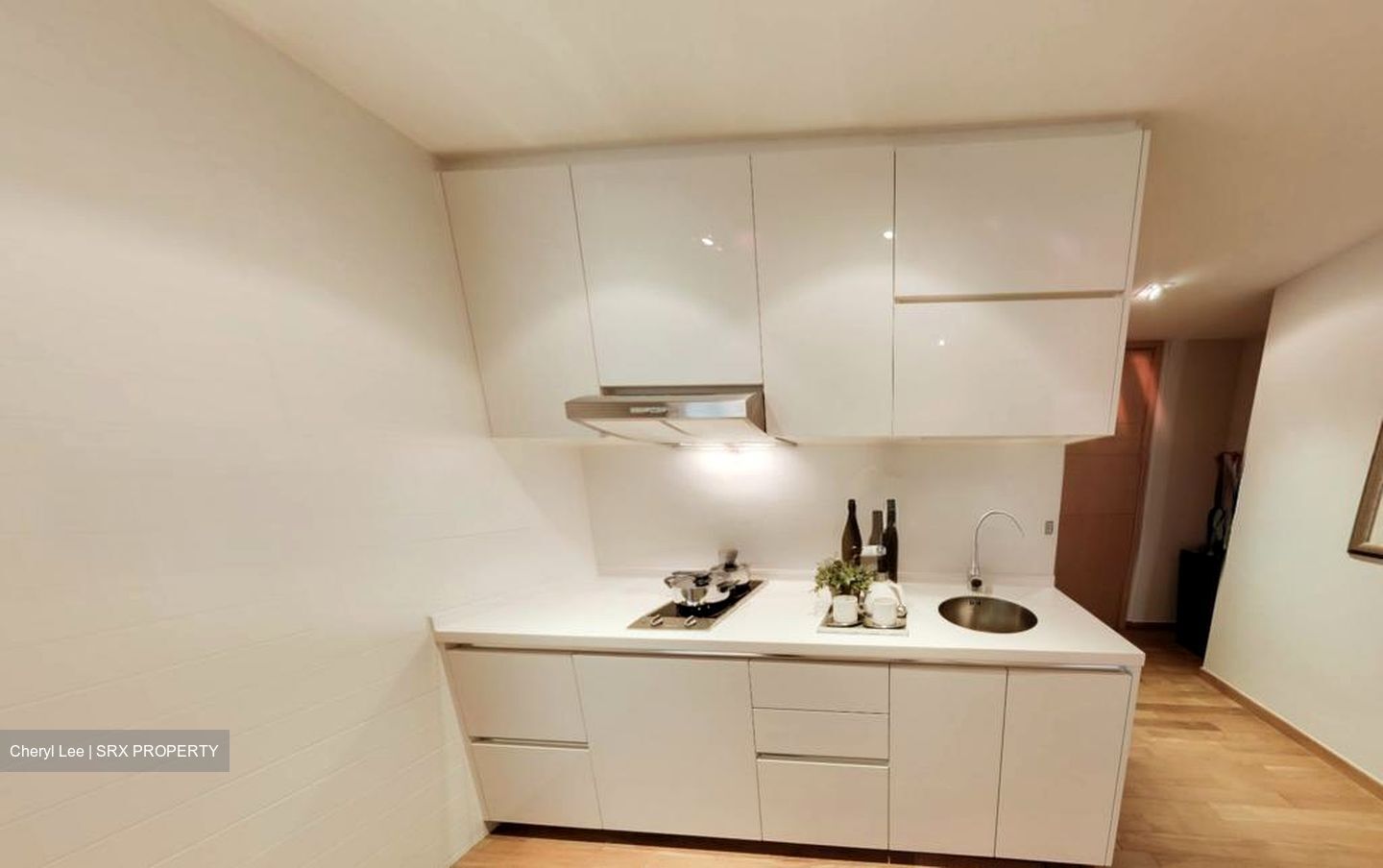 Skysuites@Anson (D2), Apartment #514496741